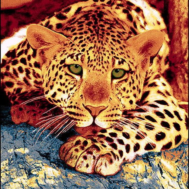 Ковер детский Колибри/Манго 1,6*2,3 11123-120 Малыш-Леопард